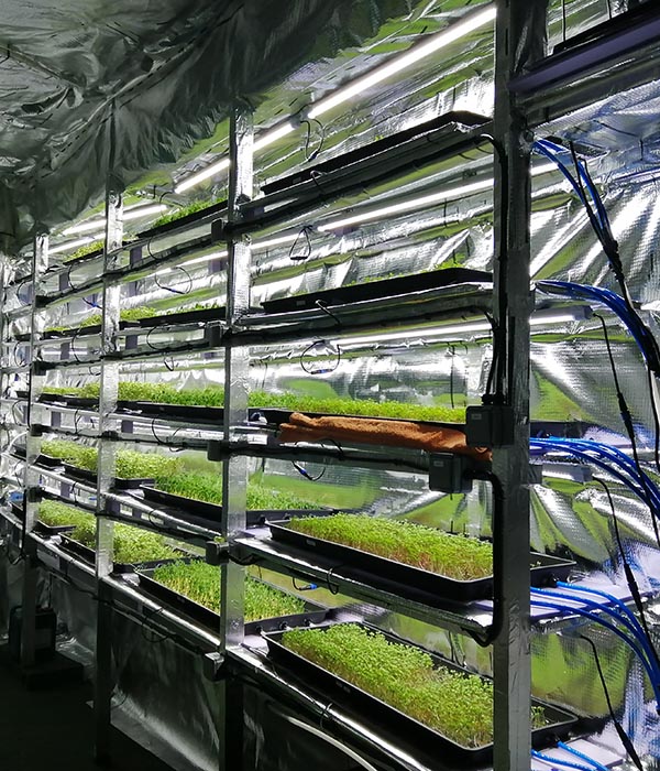 Why Urban Farming In Kirkcaldy