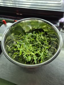microgreens Kirkcaldy