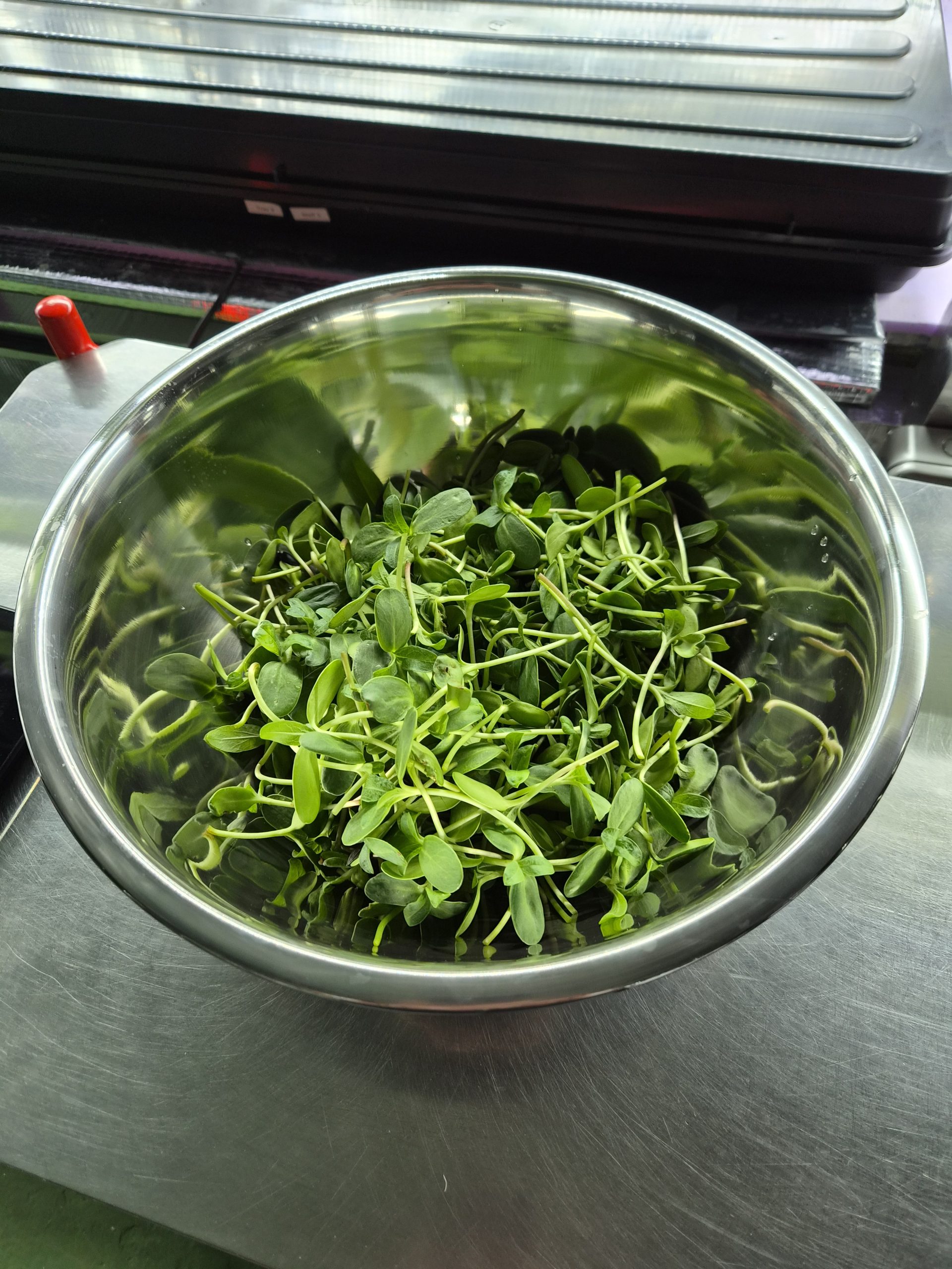 How to Get Our Microgreens